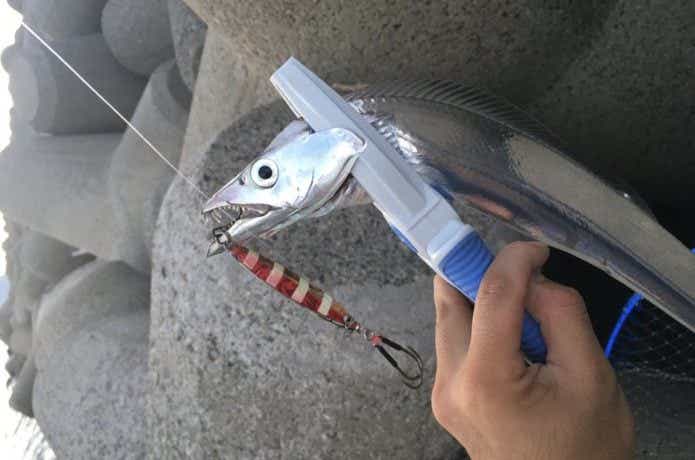 タチウオルアーの画像