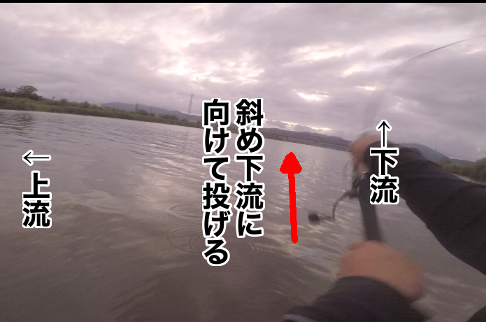 レイリアの流し方