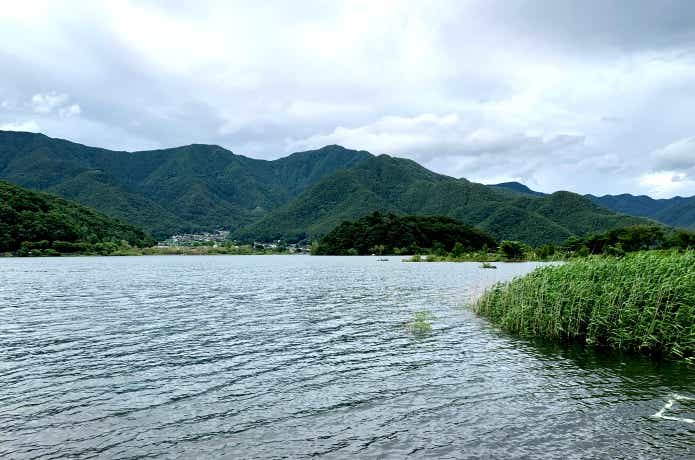 河口湖のさかなやワンド