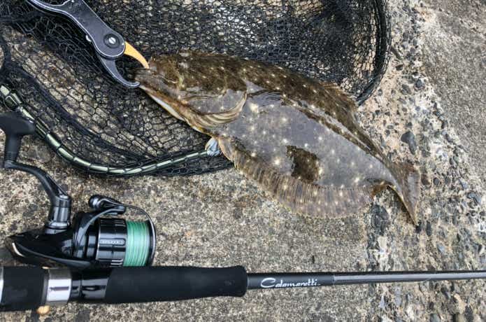 20カラマレッティー852Mで釣ったヒラメ