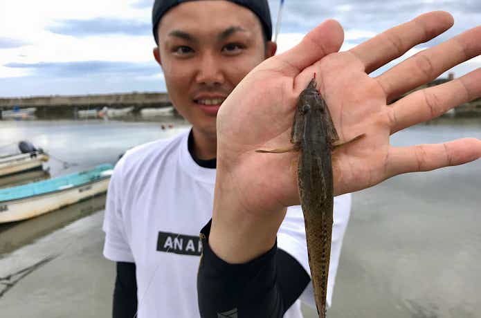 ハゼ釣り