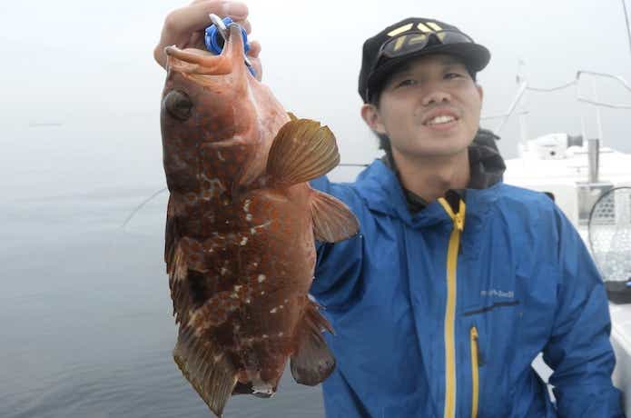 泳がせ釣りの仕掛け
