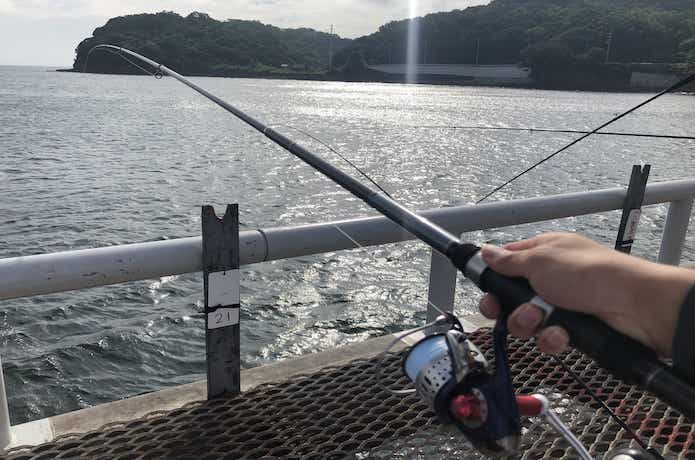 泳がせ釣りのタックルの画像