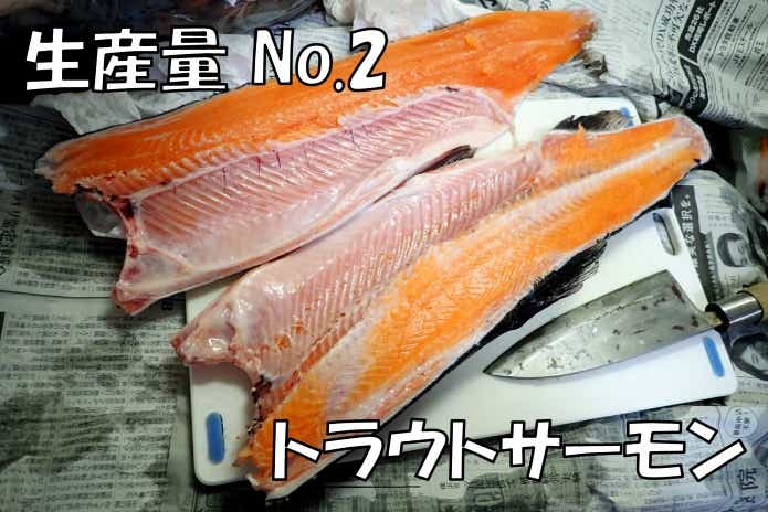 養殖生産量　トラウトサーモン