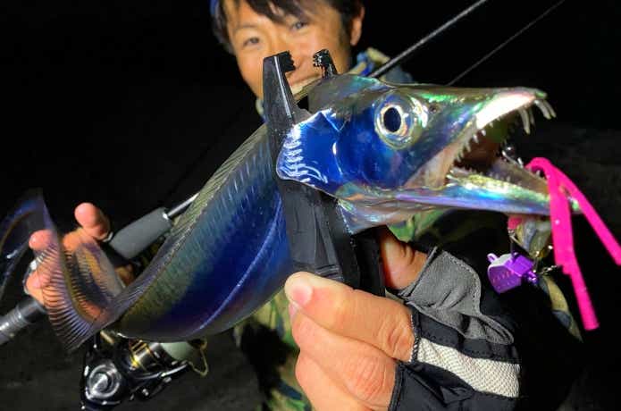 タチウオ釣りの画像