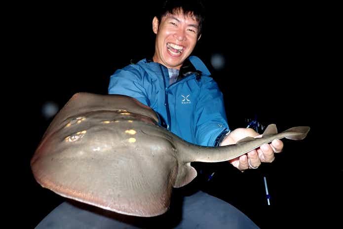 ウチワザメ　釣り