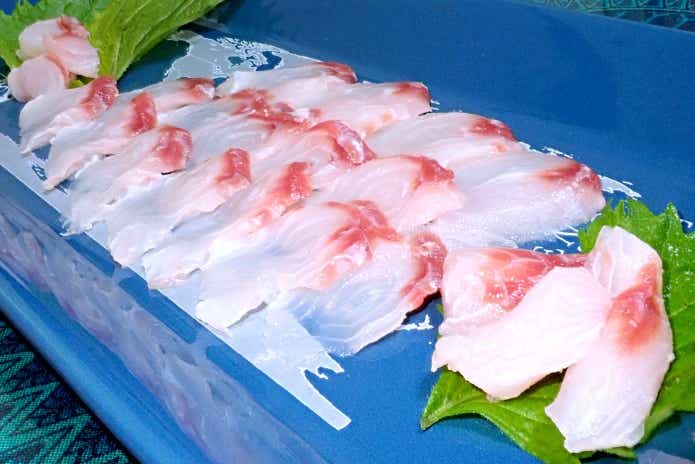ウチワザメの刺身