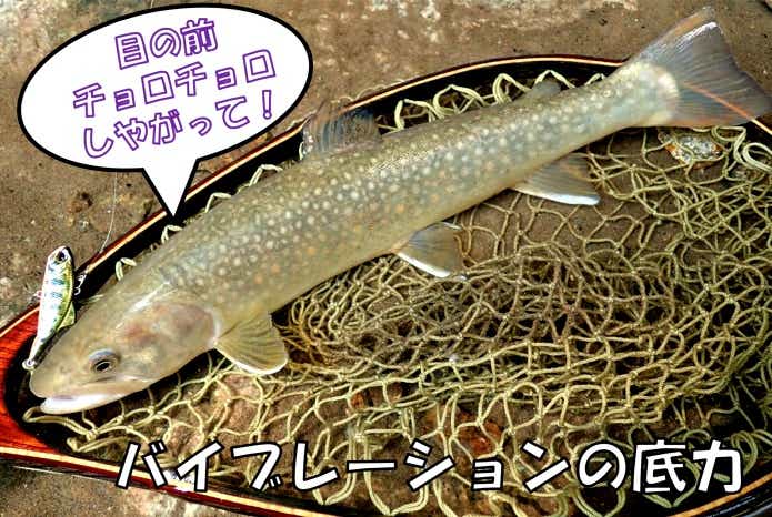 リュウキ バイブ　尺イワナ