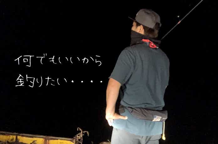 エギングロッドでアジングに挑戦してみた！釣果を上げる5つの