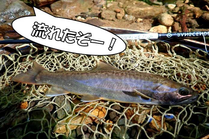 カメクライワナ