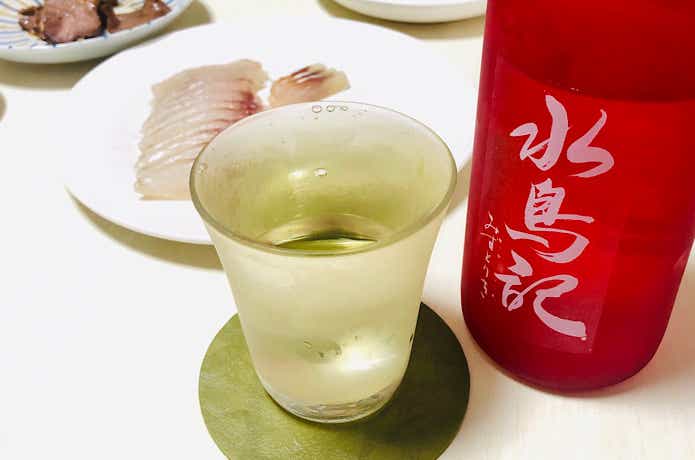マゴチの画像