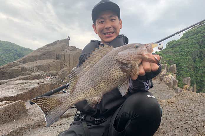 関西で釣ったオオモンハタ