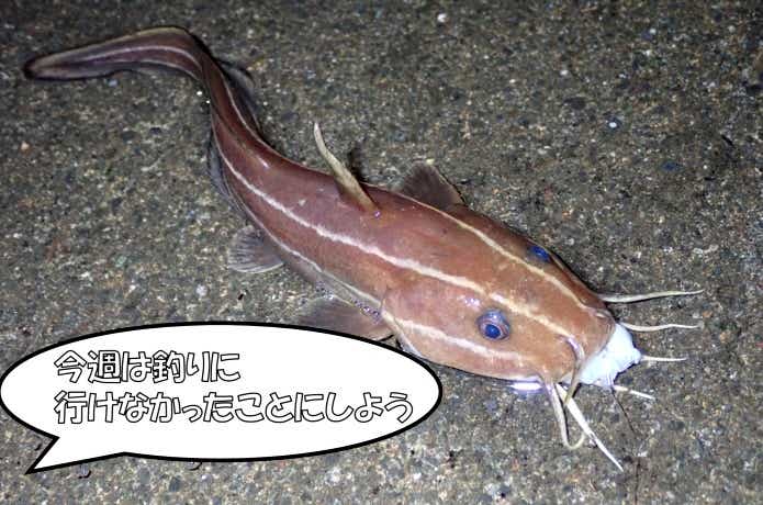 釣りメンタル　