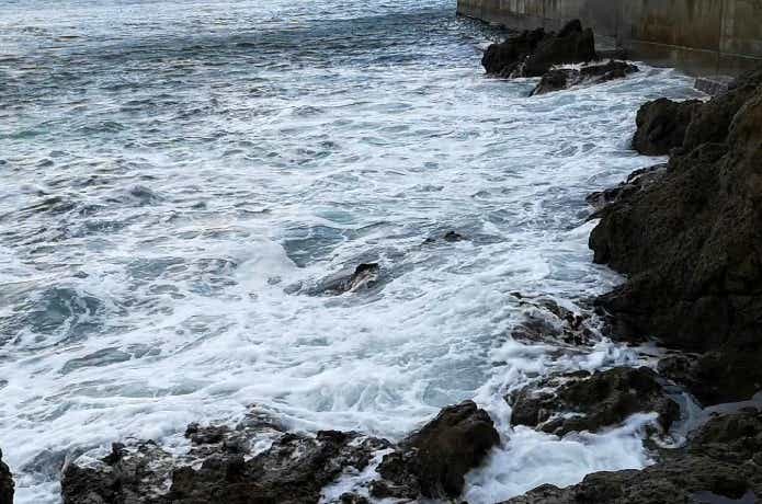 荒れた海