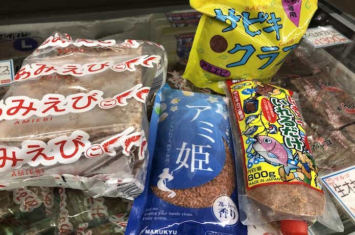 アミエビの画像