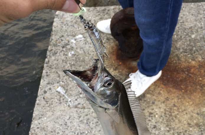 引き釣りの画像