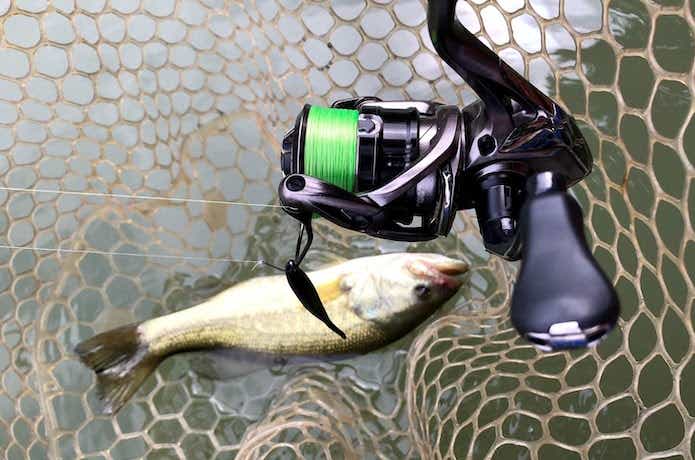 津久井湖 プロフェッサー ミラージュスティック