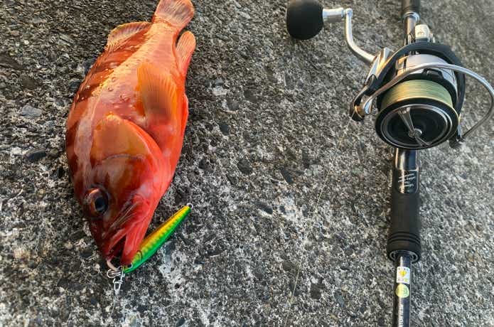 Deeper　根魚