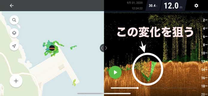 Deeper　水中映像