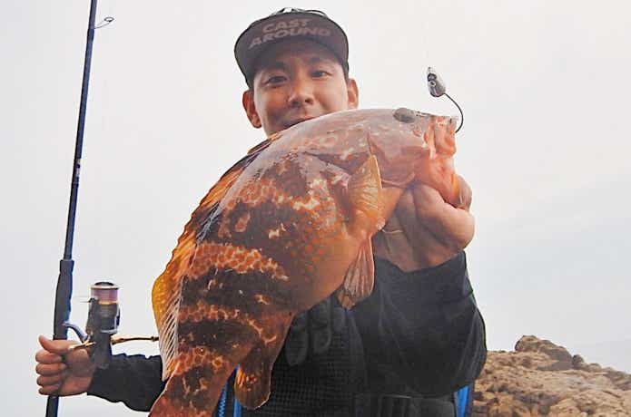 関西で釣ったキジハタ