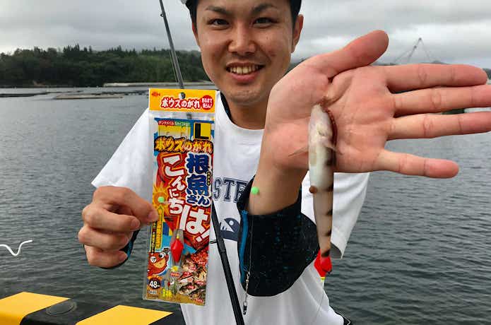 ボウズのがれ　根魚さんこんにちは