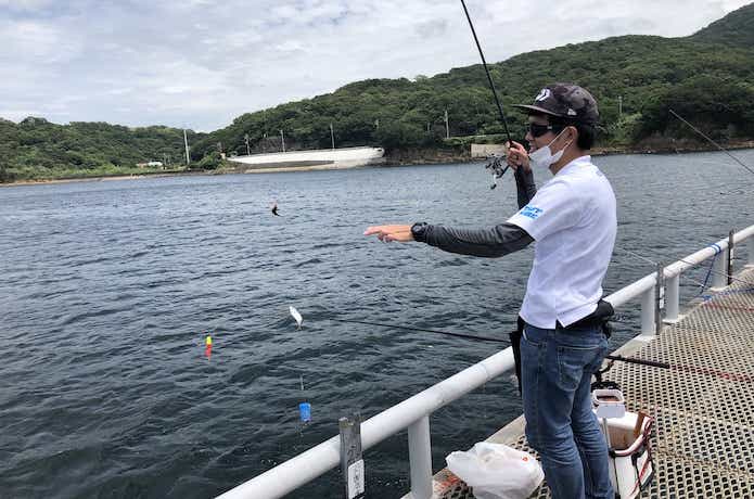 アミエビの画像