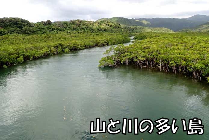 西表島　マングローブ
