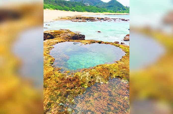 奄美大島