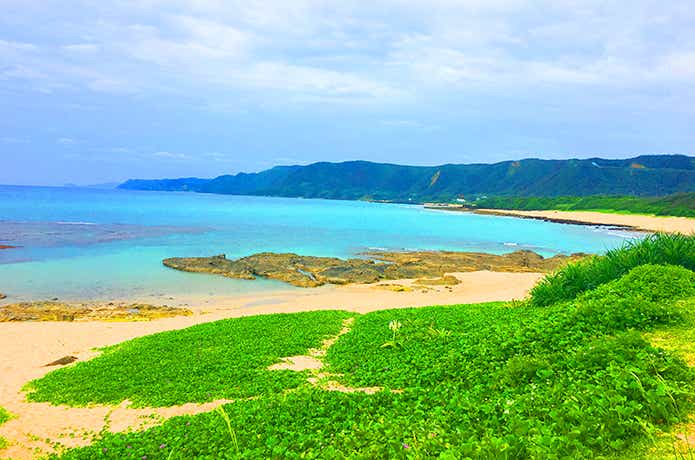 奄美大島