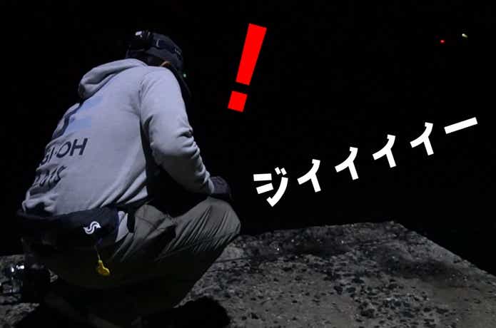 ヤエン釣り