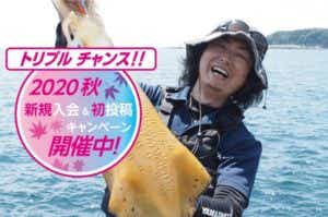 YAMASHITAキャンペーン