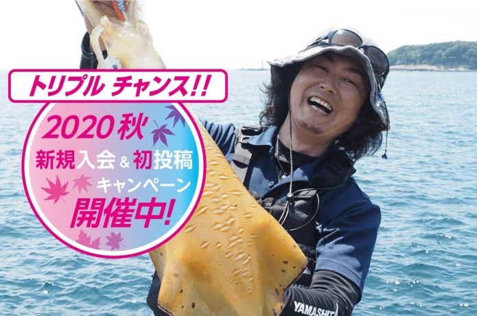 YAMASHITAキャンペーン