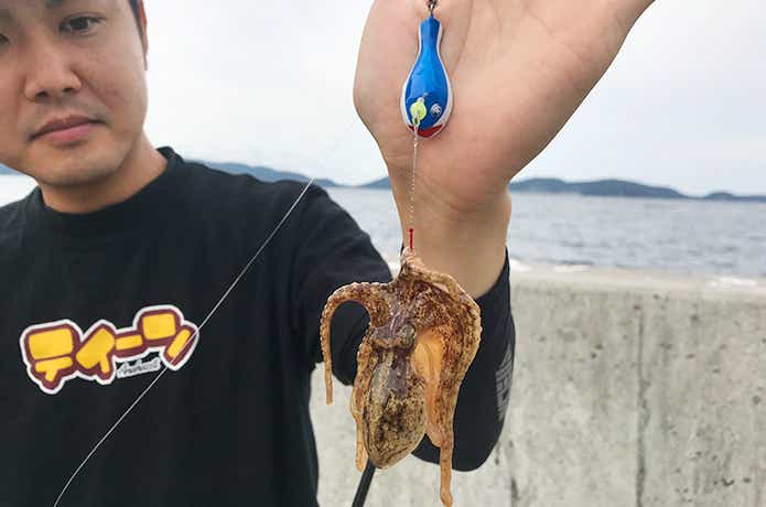 謎のあんこうの釣果 タコ