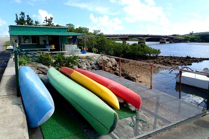 西表島　レンタルカヤック