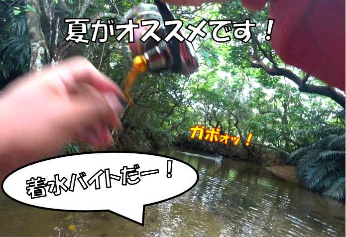 ジャングルパーチ　バイト