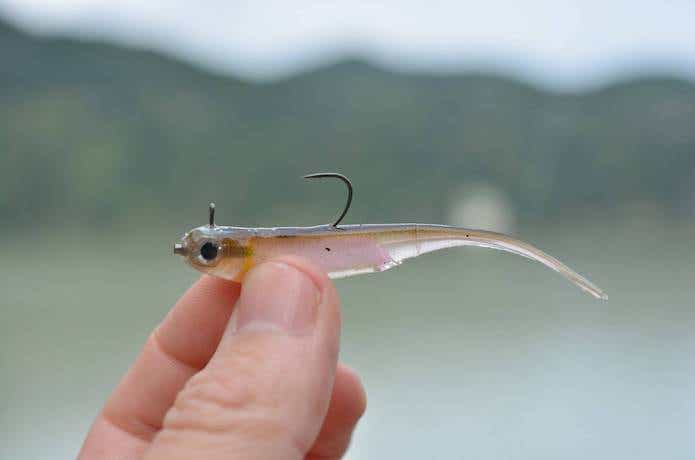 ホバスト セッティング