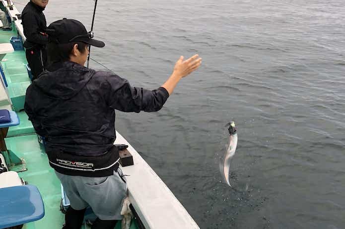 タチウオ釣りの画像