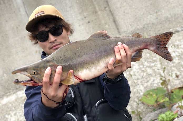 カラフトマス釣りの画像