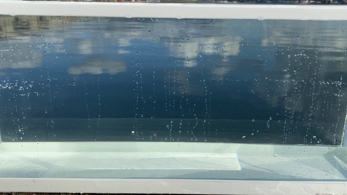 フラットノーズミノーの水中映像