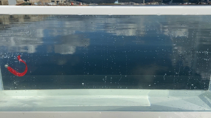 パルスワームの水中映像