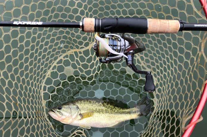 ミラージュスティック 釣果