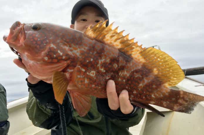 デュラセンサーでロックフィッシュ