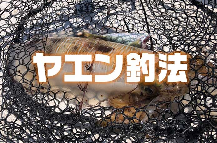 3分でマスター】ヤエンの仕掛け・釣り方を“超わかりやすく”解説 ...