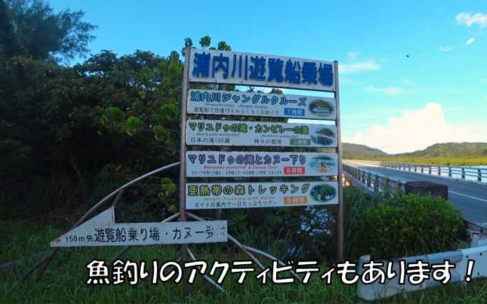 西表島　魚釣り　アクティビティ