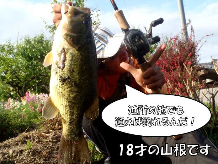 バス釣り　上達