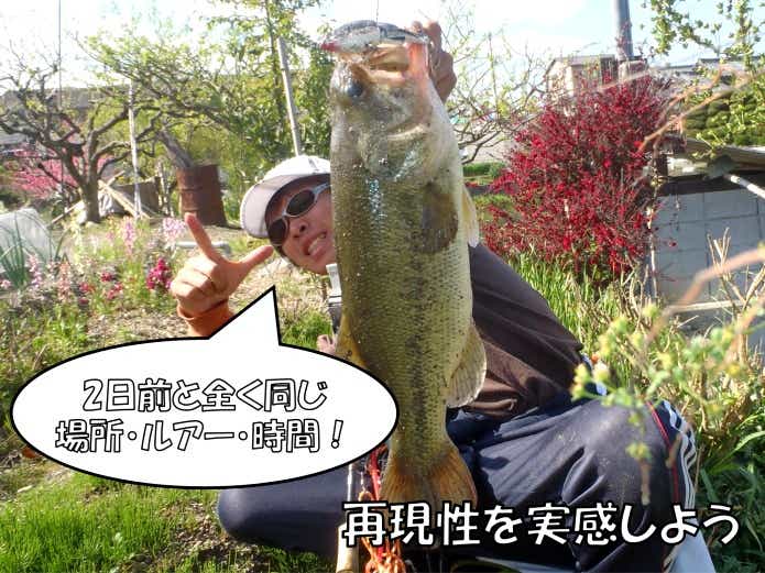 バス釣り　パターン　再現性