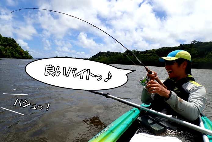 西表島　マングローブフィッシング