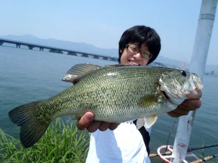 釣り上達　バス釣り