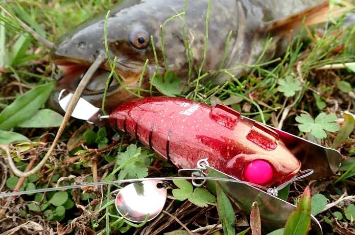 音と光の集魚力を追究したナマズ用ルアー！爆音ポンパドール鯰