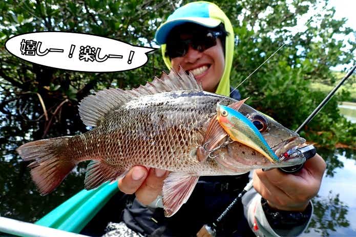 マングローブジャック　西表島　マングローブフィッシング